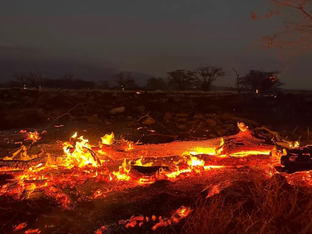 Thảm kịch cháy rừng ở Hawaii: Nhân chứng kể lại cảnh tượng như ngày tận thế - Ảnh 4.