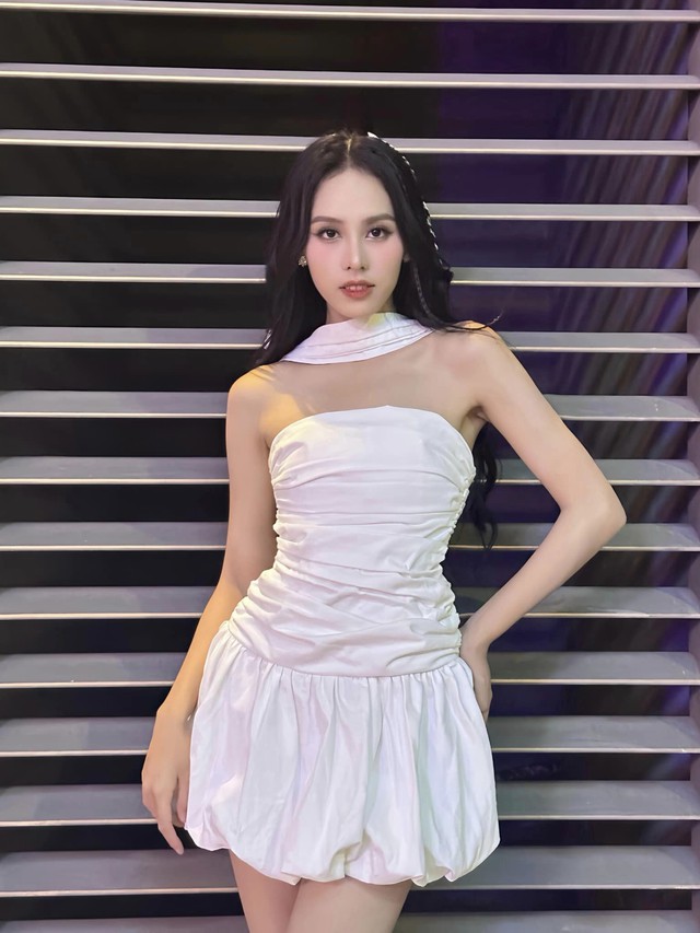 'Mỹ nhân ăn chay' đại diện Việt Nam thi Miss Intercontinental là ai? - Ảnh 4.