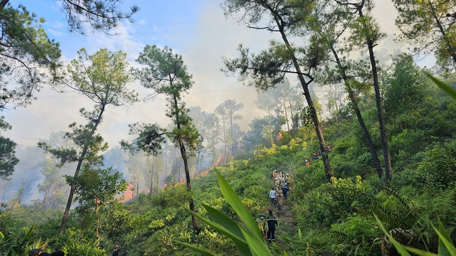 Thừa Thiên Huế liên tiếp xảy ra loạt vụ cháy rừng, tỉnh chỉ đạo 'nóng' - Ảnh 1.
