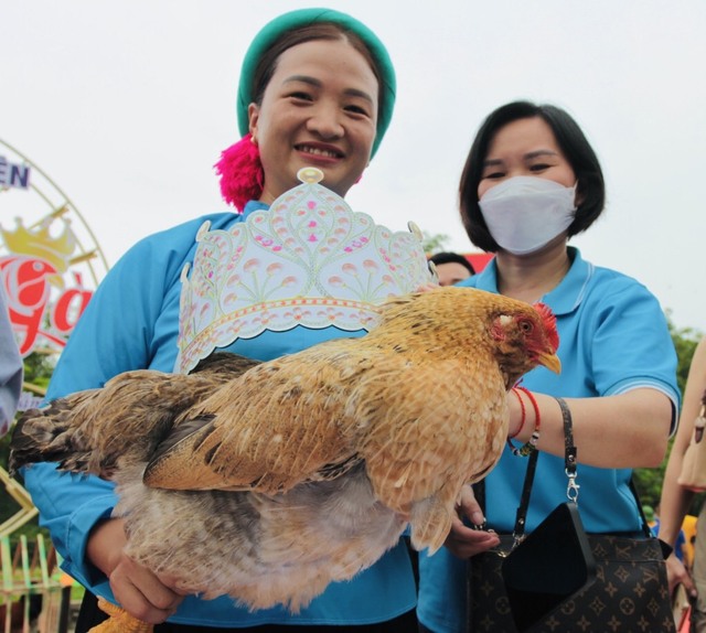 Độc đáo thi Vua gà, Hoa hậu gà ở Quảng Ninh - Ảnh 7.