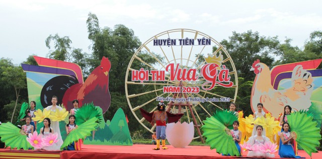 Độc đáo thi Vua gà, Hoa hậu gà ở Quảng Ninh