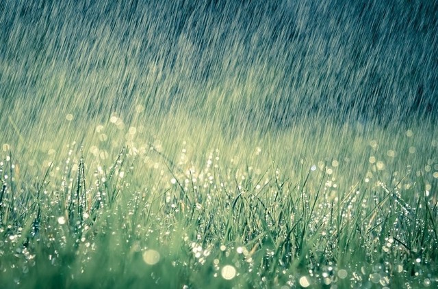 Dự báo thời tiết ngày mai 23/8: Bắc Bộ vào đợt mưa mới, lượng mưa này có thể gây ngập úng nhiều nơi - Ảnh 1.