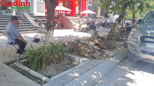 Lát đá vỉa hè đường Trần Thái Tông nhiều cây xanh bị đào lên rồi trồng lại - Ảnh 5.