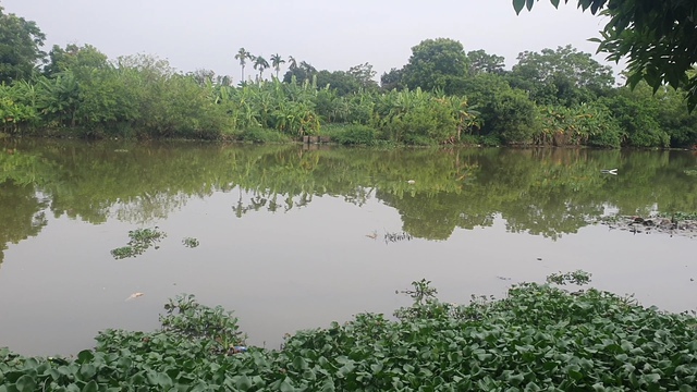 Kỳ lạ nước sạch ở Nam Định: ‘Nước bẩn do sông bị ô nhiễm’ - Ảnh 5.