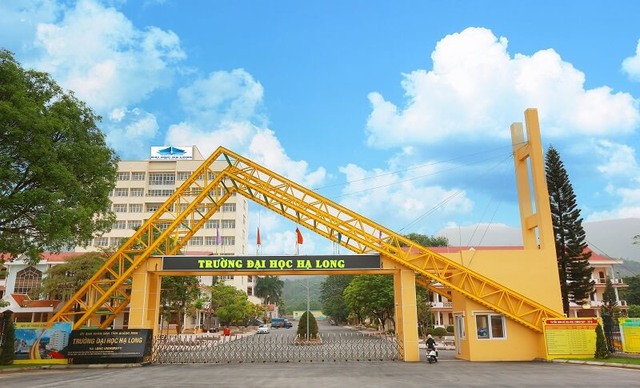 Quảng Ninh: Phát hiện thi thể phụ nữ loã thể trong khuôn viên trường Đại học - Ảnh 1.