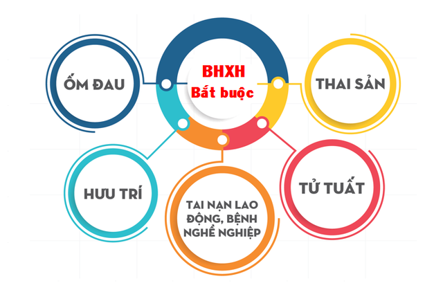 Tuy phổ biến nhưng không phải người lao động nào cũng nắm được hết các quy định về bảo hiểm bắt buộc - Ảnh 2.