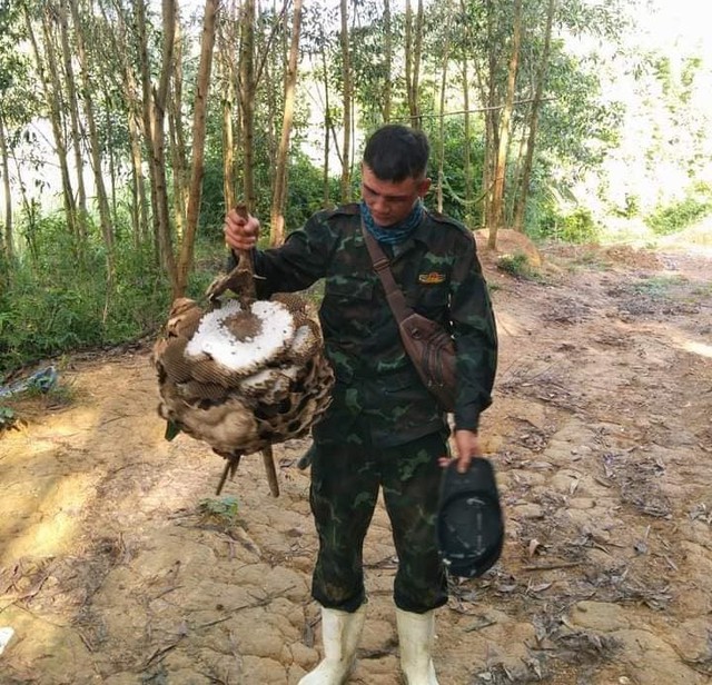 Tìm thấy thi thể nghi của nam thanh niên mất tích từ nhiều ngày trước - Ảnh 1.