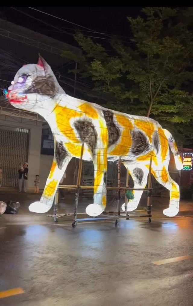 Lâm Đồng: Xuất hiện dàn mèo ‘giang hồ khét tiếng’ trong Lễ hội Trung thu khiến cộng đồng mạng choáng ngợp - Ảnh 11.