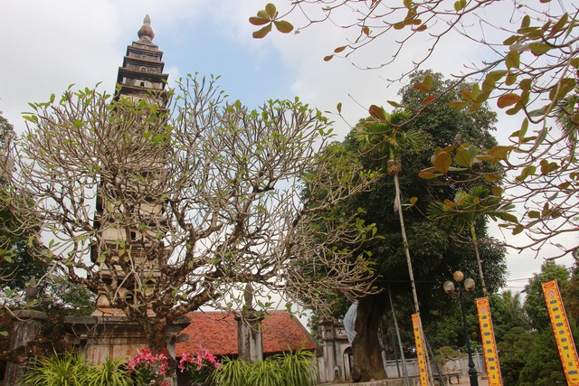 Ngôi chùa huyền bí 800 năm tuổi ở Nam Định lưu giữ nhiều di sản - Ảnh 2.