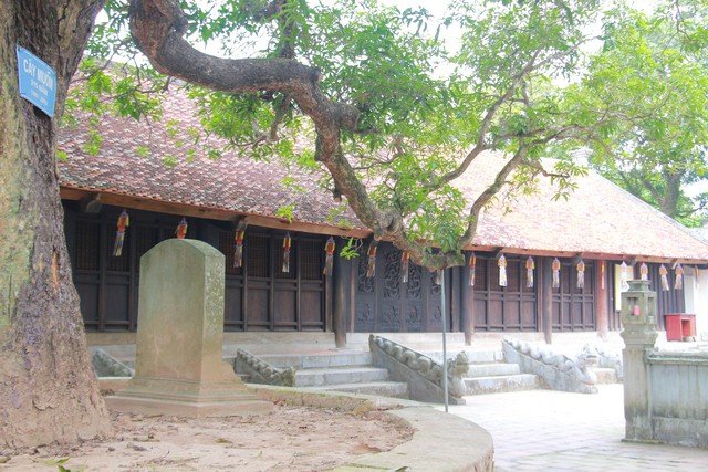 Ngôi chùa huyền bí 800 năm tuổi ở Nam Định lưu giữ nhiều di sản - Ảnh 3.