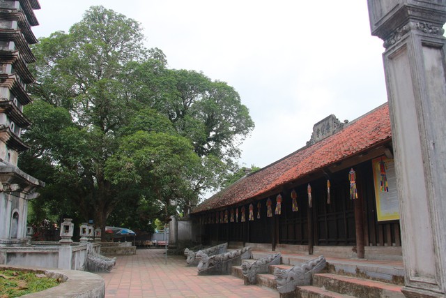 Ngôi chùa huyền bí 800 năm tuổi ở Nam Định lưu giữ nhiều di sản - Ảnh 4.