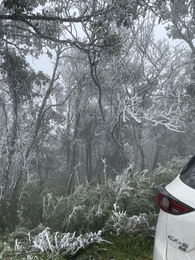 Cùng chiêm ngưỡng cánh rừng băng giá trắng xoá tuyệt đẹp ở đỉnh Mẫu Sơn  - Ảnh 10.