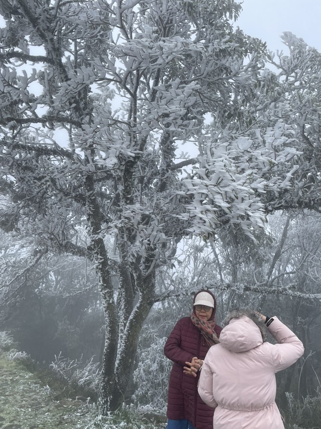 Cùng chiêm ngưỡng cánh rừng băng giá trắng xoá tuyệt đẹp ở đỉnh Mẫu Sơn  - Ảnh 3.