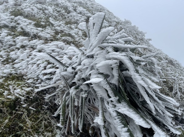 Cùng chiêm ngưỡng cánh rừng băng giá trắng xoá tuyệt đẹp ở đỉnh Mẫu Sơn  - Ảnh 6.