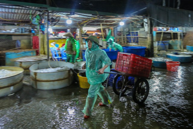 Những đôi tay trần khiêng đá, bắt cá giữa cái lạnh thấy xương ở chợ cá Yên Sở - Ảnh 9.