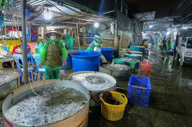 Những đôi tay trần khiêng đá, bắt cá giữa cái lạnh thấy xương ở chợ cá Yên Sở - Ảnh 1.