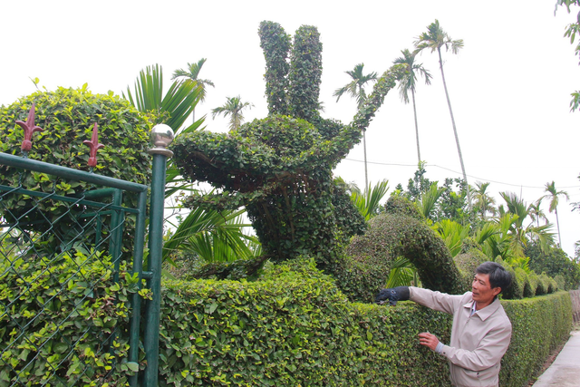 Độc đáo con rồng được tạo từ cây duối của một gia đình ở Nam Định - Ảnh 4.