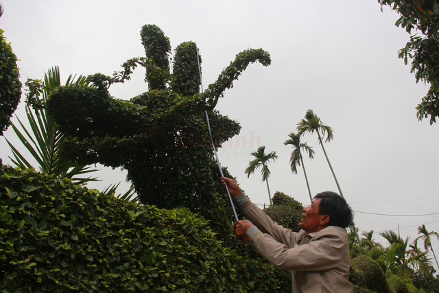 Độc đáo con rồng được tạo từ cây duối của một gia đình ở Nam Định - Ảnh 7.