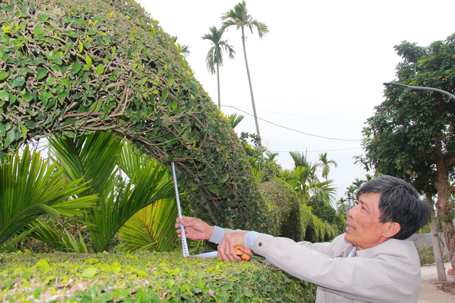 Độc đáo con rồng được tạo từ cây duối của một gia đình ở Nam Định - Ảnh 10.