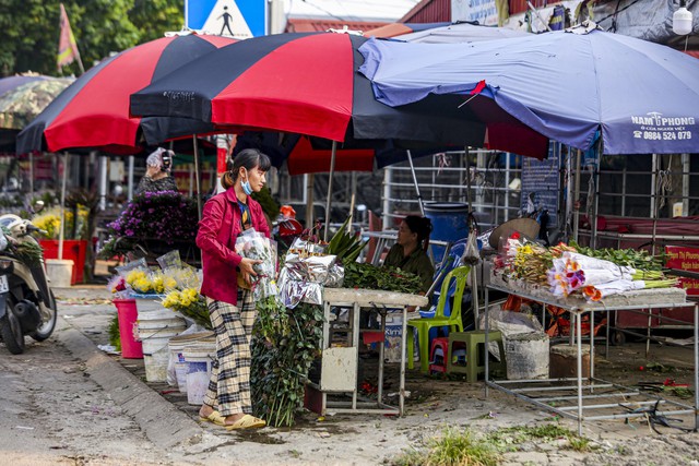 'Thủ phủ hoa hồng' nổi tiếng ở Hà Nội 'lỡ hẹn' dịp 20/10 - Ảnh 11.