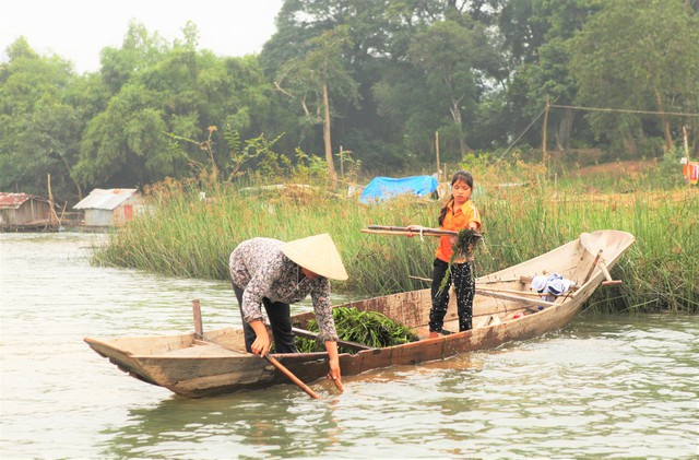 Khu rừng đặc biệt dưới lòng Linh Giang- Ảnh 5.