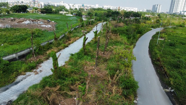 Cận cảnh bãi gỗ 'khủng' chờ ngày đấu giá ở Hà Nội - Ảnh 12.