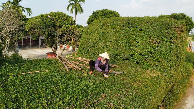 Cảnh độc đáo của ngôi đình thờ nữ tình báo đầu tiên của chính sử Việt Nam ở Nam Định- Ảnh 6.