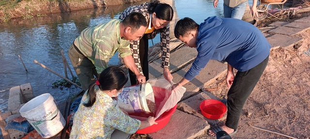 Đặc sản được ví là ‘lộc trời’ giá đắt đỏ, có tới đâu vẫn ‘cháy hàng’ tới đó - Ảnh 3.