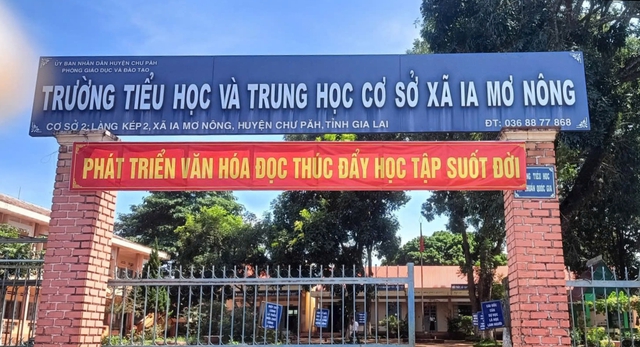 Nam giáo viên thuê 2 người dạy học thay vì 'chuyên môn yếu'- Ảnh 1.