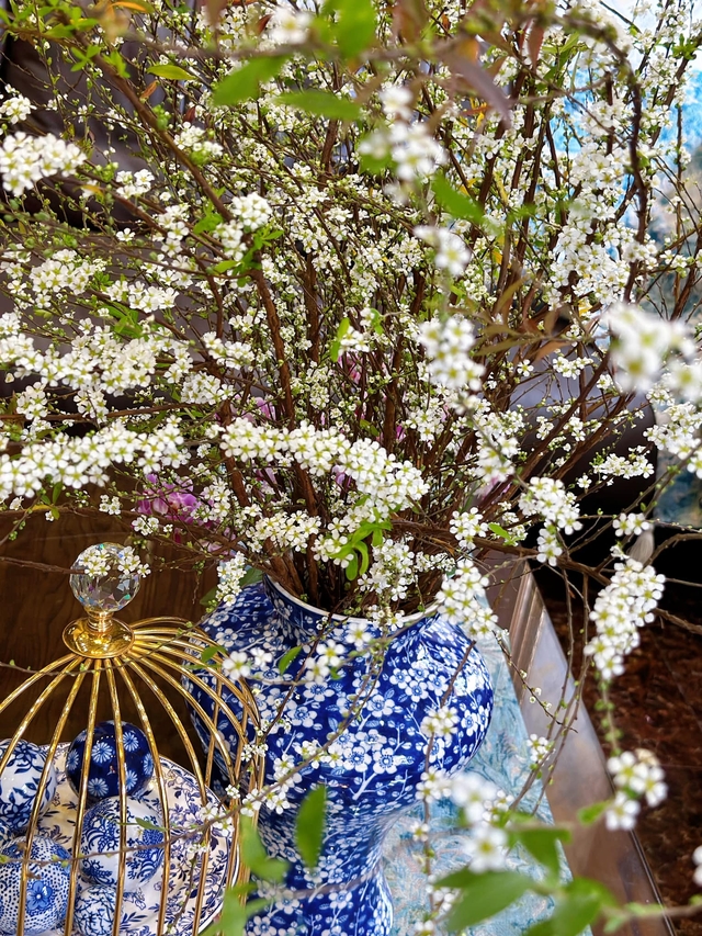 Chiêm ngưỡng những ‘cành củi khô’ bung nở hoa trắng xóa, mang bình an, may mắn cho gia chủ trong năm mới - Ảnh 12.