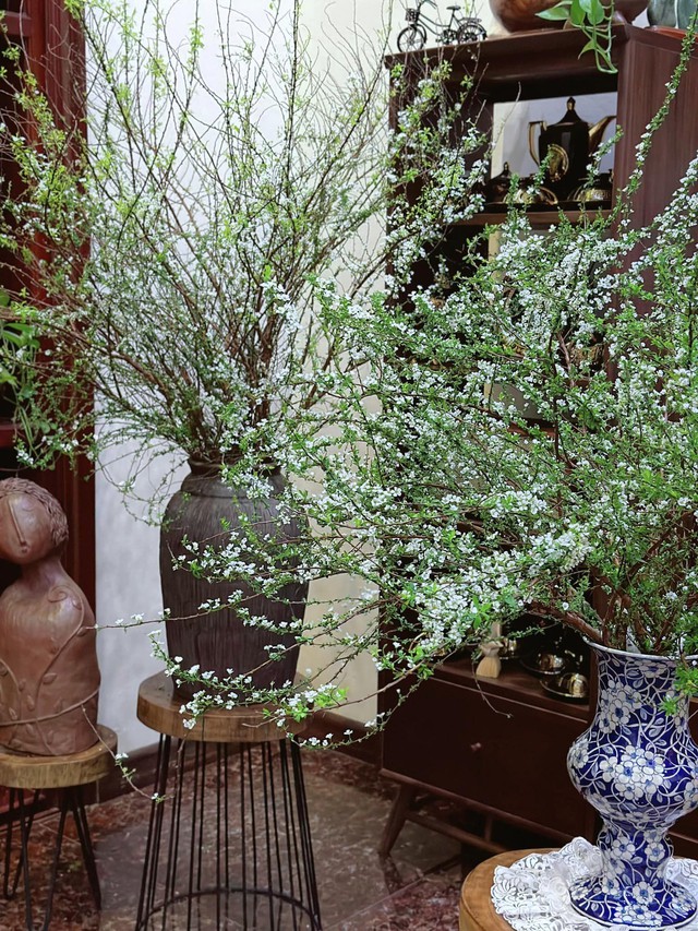 Chiêm ngưỡng những ‘cành củi khô’ bung nở hoa trắng xóa, mang bình an, may mắn cho gia chủ trong năm mới - Ảnh 16.