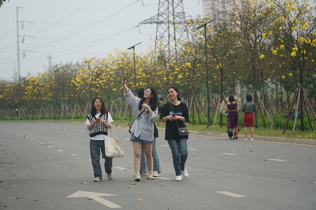 Hoa Phong Linh 'bung lụa' thu hút đông đảo người dân check - in - Ảnh 2.