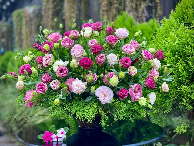 Loài hoa mang ý nghĩa may mắn, ngày Tết có một bình trưng trong nhà cho tài lộc cả năm - Ảnh 5.