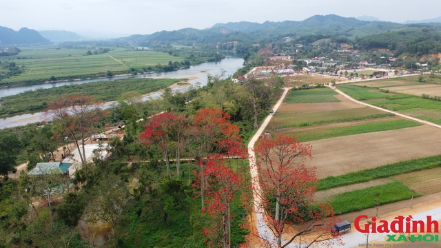 Tháng 3, vạn người mê mẩn ngắm hoa gạo nở đỏ rực vùng tả ngạn sông Lam- Ảnh 1.