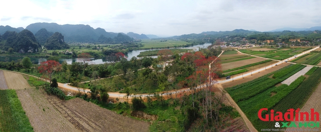 Tháng 3, vạn người mê mẩn ngắm hoa gạo nở đỏ rực vùng tả ngạn sông Lam- Ảnh 11.