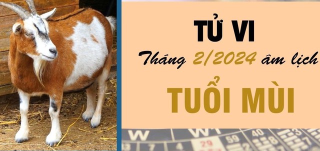 Tử vi tháng 2/2024 âm lịch tuổi Mùi dự báo thích hợp để làm việc này? - Ảnh 2.