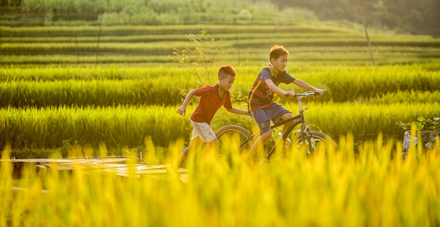 Tản văn: Anh họ tôi- Ảnh 2.