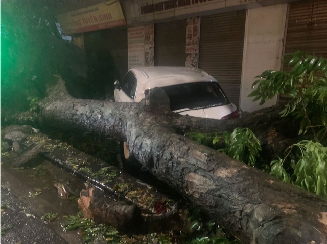 Nhiều xe sang bị cây đổ đè trúng trong trận dông lốc, mưa đá lớn ở Hà Nội- Ảnh 4.