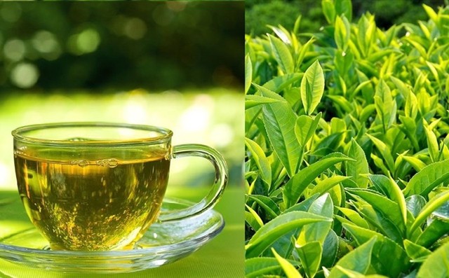 Mùa hè, uống trà xanh theo cách này còn tốt hơn thuốc bổ, đây có thể là 'bí quyết sống thọ' của người Nhật - Ảnh 3.