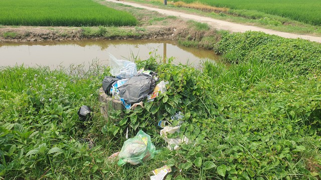 Nam Định: 'Ám ảnh' vỏ thuốc bảo vệ thực vật vứt tràn lan bờ ruộng, kênh mương- Ảnh 20.