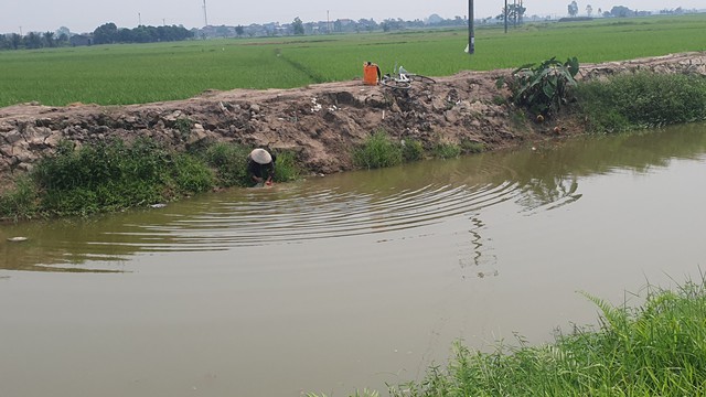 Nam Định: 'Ám ảnh' vỏ thuốc bảo vệ thực vật vứt tràn lan bờ ruộng, kênh mương- Ảnh 16.