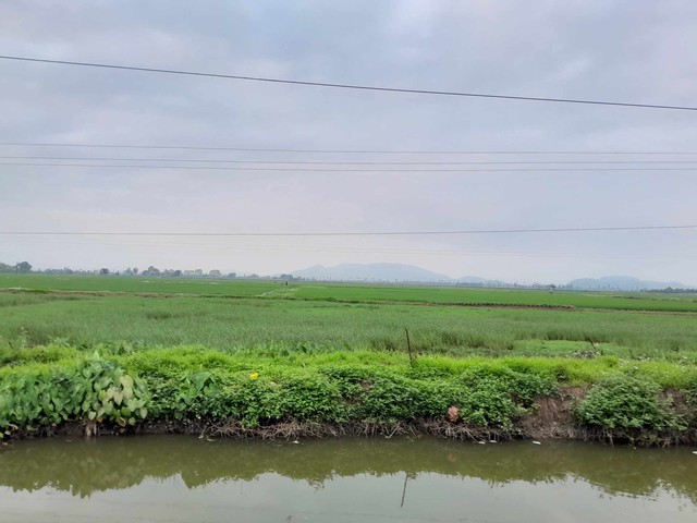Hàng triệu người Việt được hưởng lợi trong việc nhận chuyển, nhượng đất lúa theo Luật Đất đai mới nhất- Ảnh 2.
