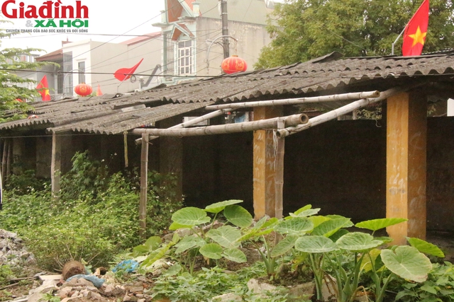 Chủ tịch thị trấn Ninh Giang lên tiếng sự việc chợ bỏ hoang, dân tràn ra lòng đường bán hàng- Ảnh 2.