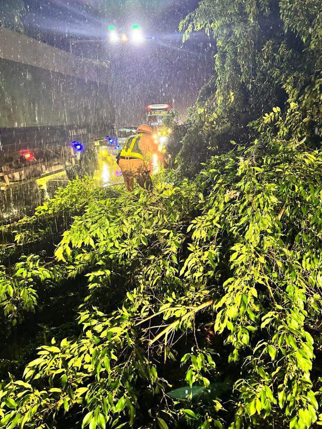 Video: CSGT Tuyên Quang và người dân xuyên đêm dầm mưa dọn dẹp cây đổ- Ảnh 2.