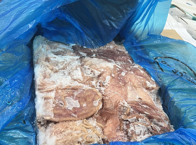 Hà Nội: Kiểm tra kho lạnh ở khu công nghiệp, bất ngờ phát hiện 11,9 tấn dạ dày lợn nhiều 'không'- Ảnh 2.