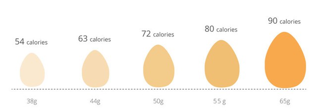 Hạn chế ăn trứng khi đang có bất ổn đường ruột - Ảnh 1.