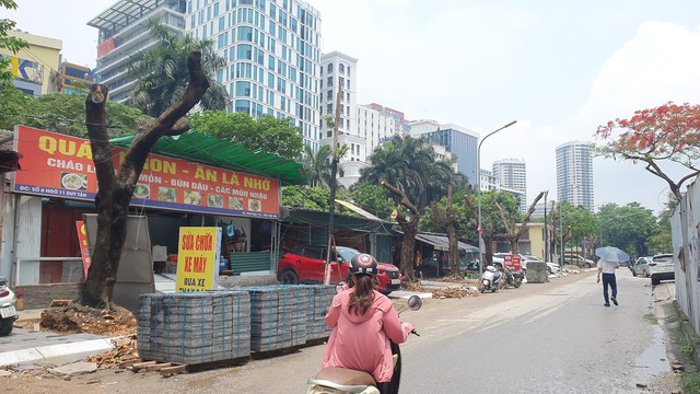 Loạt cây xanh lâu năm ở Hà Nội 'mất ngọn', trơ trụi để triển khai dự án- Ảnh 14.