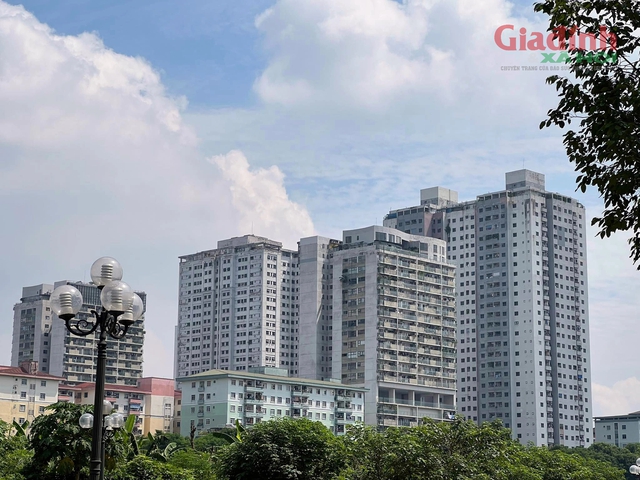 29.000 căn hộ tại 206 dự án ở Hà Nội không thể cấp sổ đỏ - Ảnh 2.