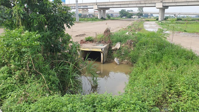 Dự án CCN Yên Bằng - Nam Định sau 3 năm thi công vẫn là đầm lầy, trở thành nơi thả cá- Ảnh 16.