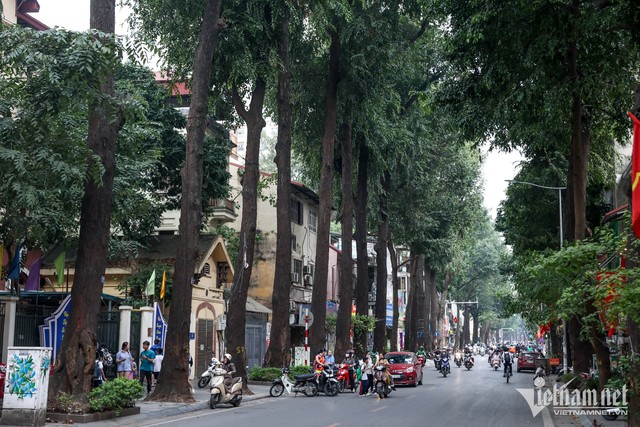 Tin sáng 16/8: Lý do trường ĐH Hà Nội không còn lưu hồ sơ tuyển sinh của ông Vương Tấn Việt; Hà Nội có hơn 8.000 cây cổ thụ, nhiều cây bước sang tuổi già cỗi- Ảnh 2.